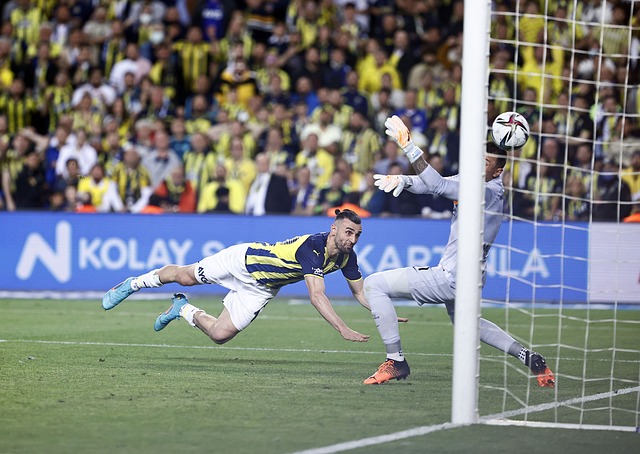 懂球译站 ｜ 解锁世界杯参赛国！不为人知的冷知识